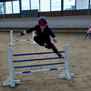 Hobbyhorsing-Parcours zum Ausleihen