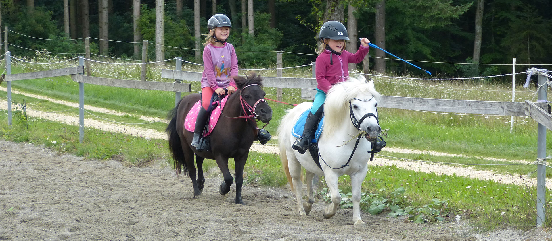 Willkommen beim Pferdesportkreis Oberschwaben
