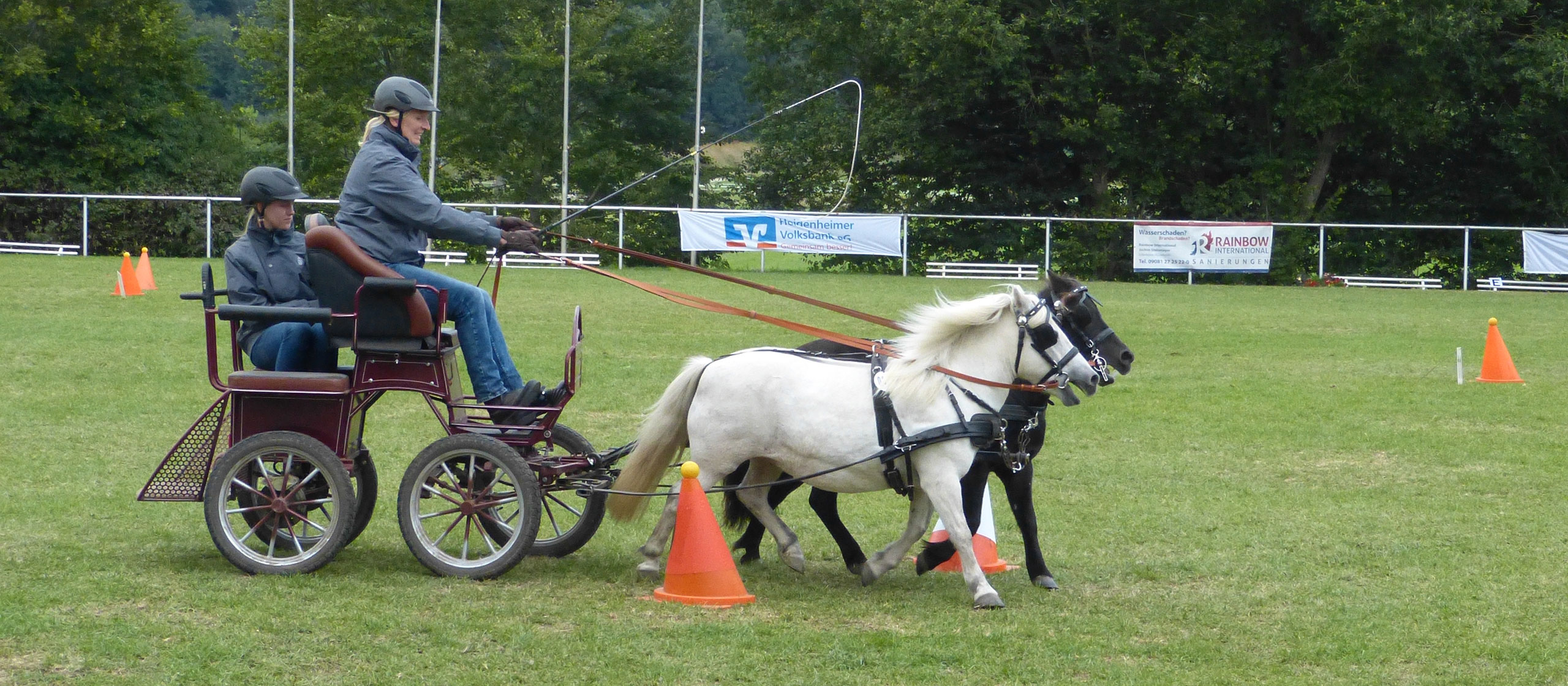 Willkommen beim Pferdesportkreis Oberschwaben